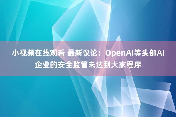 小视频在线观看 最新议论：OpenAI等头部AI企业的安全监管未达到大家程序